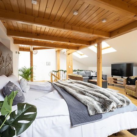 Apartament Grand Krupowki 47 ザコパネ エクステリア 写真