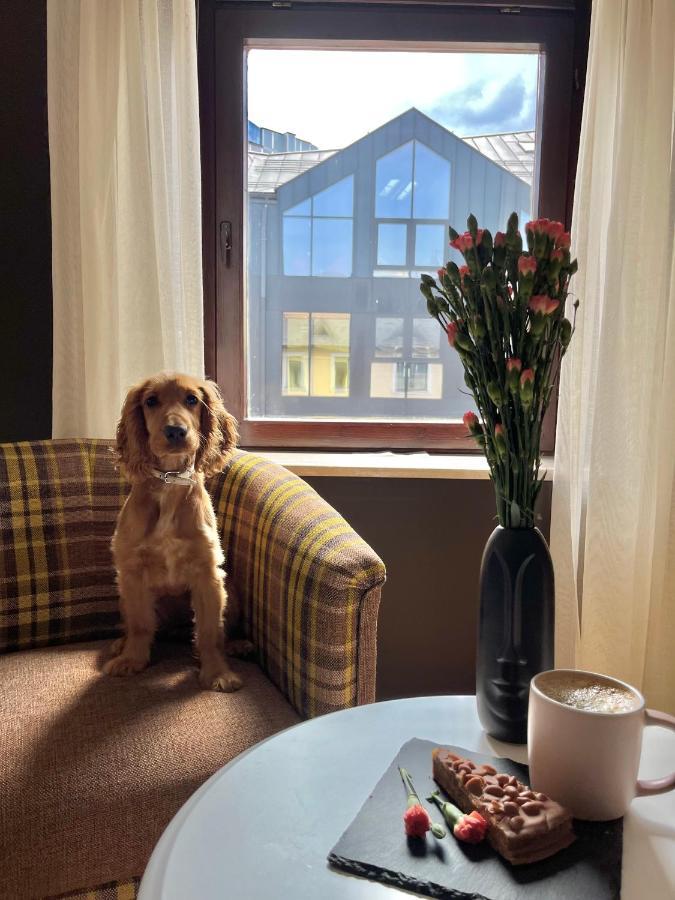 Apartament Grand Krupowki 47 ザコパネ エクステリア 写真